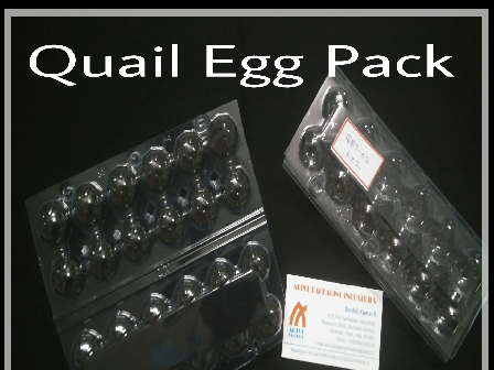 12 Egg Pack
